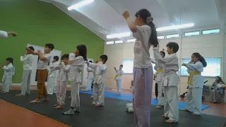 Karate & MMA Kids Class