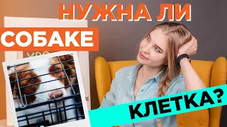 Нужна ли собаке клетка?