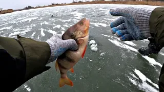С ТАКИМ ОКУНЕМ никакой щуки не надо!! Зимняя рыбалка на реке 2020.