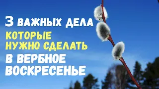 ОБЯЗАТЕЛЬНО! Три важных дела, которые нужно сделать в Вербное воскресенье!