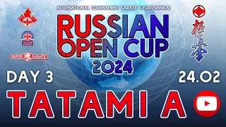 «Russian Open Cup - 2024». ТАТАМИ A  (3 день)