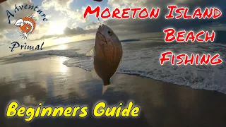 Moreton Island Beach Fishing Beginners Guide