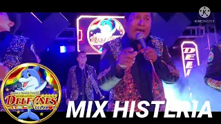 LOS DELFINES DEL AMOR EN VIVO 2022 - MIX HISTERIA