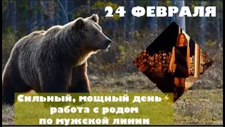 24 ФЕВРАЛЯ день помощи от наших предков. Сильный мощный день силы 🐻