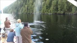 Great Bear Rainforest with Bluewater Adventures 2011