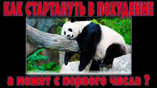 Как начинать худеть? Похудеть быстро и бесплатно в домашних условиях ! ЖИРУКОПЕЦ онлайн похудение