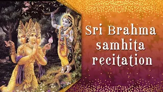 Śrī Brahma saṁhitā recitation