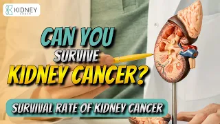 What Is The Survival Rate of Kidney Cancer? | Kidney Cancer Statistics