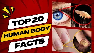 Top 20 Amazing Facts About Human Body