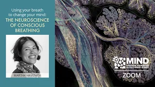 The Neuroscience of Conscious Breathing | Dr. Martha Havenith