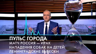 Пульс города. Россия и Китай, исторические вывески, бойцовые породы собак. 24 марта 2023