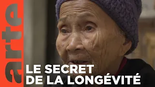 Chine : ils ont tué les immortels | ARTE Reportage