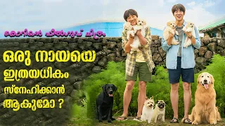 ഒരു നായയെ ഇത്രയധികം സ്നേഹിക്കാനാകുമോ | My Heart Puppy Explained In Malayalam #kdrama #movies #film