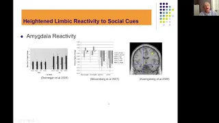 Neurocorrelates of the Social Emotional & Behavioral Disturbances in Borderline Personality Disorder