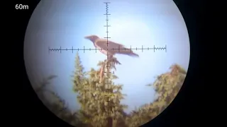 hunting crow fx air gun