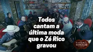 TODOS PRESTAM HOMENAGEM AO ZÉ RICO | Podcast "Do Jeitão do Marcelão" ESPECIAL ZÉ RICO