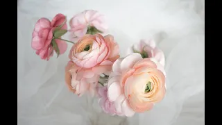 Wafer Paper Ranunculus Online Course Trailer | Petals by You