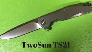 Two Sun TwoSun TS21 knife from China titanium Framelock flipper with D2 blade