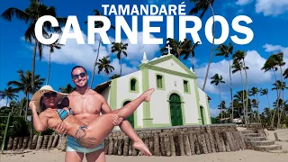 Tamandaré e Praia dos Carneiros em Pernambuco | melhores dicas com preços [ROTEIRO COMPLETO]