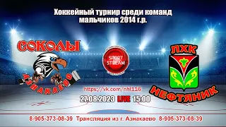 26.08.2023 СОКОЛЫ АЗНАКАЕВО (Азнакаево )- НЕФТЯНИК (Лениногорск) LIVE 15:00 U-9 (2014гр.)