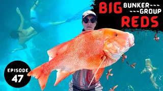 BIG BUNKER GROUP REDS | Fishing The Great Barrier Reef - Ep 47