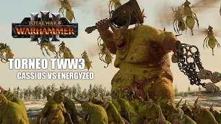 FINAL TORNEO  ENERGYZED VS CASSIUS TOTAL WAR WARHAMMER 3