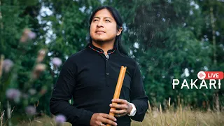 Pakari - Beautiful melodies with Andean wind flutes