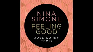 Nina Simone - Feeling Good (JOEL CORRY Extended Remix)