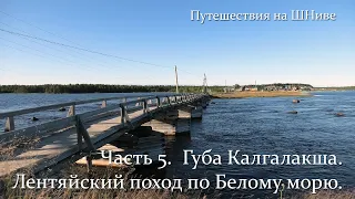 Лентяйский байдарочный поход по Белому морю. Мыс Еловый - о. Большой Березовый. Часть 5.