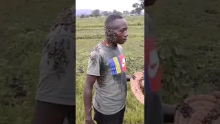 Fearless Man Covered With Thousands Of Bees On His Body