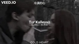 Tur Kalleyan (SLOWED + REVERB) | Arijit Singh,Shadab Faridi & Altamash Farid | 冷漠的心 AKA COLD HEART