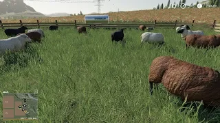 Farming Simulator 2019, Sheep Farm Tutorial