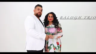 Balogh Trió - Gina -Zeleno zeleno- | Official ZGStudio video |