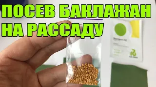 Посев баклажан и перца на рассаду. Замачивание семян перца и баклажан