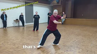 Yang Family Tai Chi Turn Sidle and Punch class room teaser.