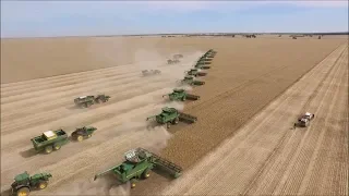 World's Biggest Harvest