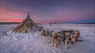 Песни тундры - Песня оленевода /Songs of tudra - Reindeer breeder's song Музыка Владимира Парфенюка