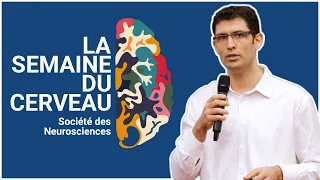 La stimulation magnétique transcrânienne : diagnostic, thérapie et recherche [LA SEMAINE DU CERVEAU]