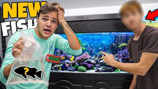 Letting My SUBSCRIBER Pick out ANY FISH for My AQUARIUMS!! (crazy)