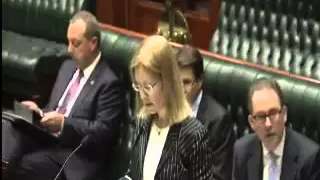 The Hon. Gabrielle Upton MP Spring Cycle Riley Parliament Speech 20151021