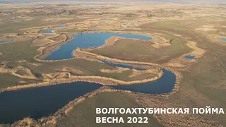 БЕЗМЯТЕЖНОСТЬ ВОЛГОАХТУБИНСКОЙ ПОЙМЫ. ВЕСНА 2022. СЪЕМКА С КВАДРОКОПТЕРА