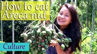 How to eat Areca nut