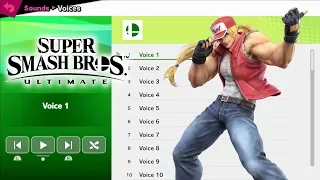 Terry Bogard Voices - Super Smash Bros Ultimate