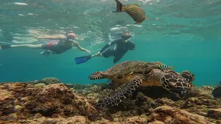 Watersports | Baros Maldives