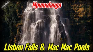 Exploring the Hidden Gems of Mpumalanga: The Lisbon Falls and Mac Mac Pools