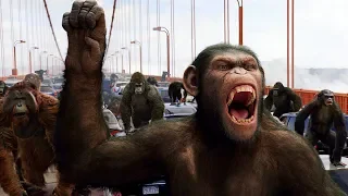 Apes vs Humans - Bridge Battle - Rise of the Planet of the Apes (2011) Movie Clip HD