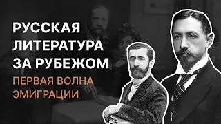 Русская литература за рубежом. Первая волна эмиграции. Сергей Федякин