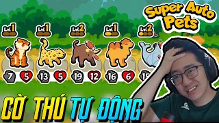 Game này trông cực TRẺ CON nhưng lại khiến tôi NHỨC NÃO! (Super auto pets)