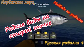 Фарм без напрягов! #рр4 #норвежскоеморе #русскаярыбалка4 #медведьнарыбалке