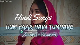 Hum Pyaar Hai Tumhare | Haan Maine Bhi Pyaar Kiya | Kumar Sanu,Alka Yagnik | 2024 ||(Slowed+Reverb )